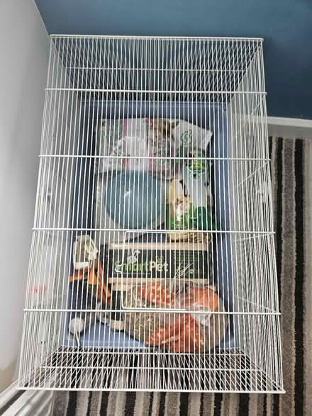 Photo of free Small cage (Gleadless S14) #1