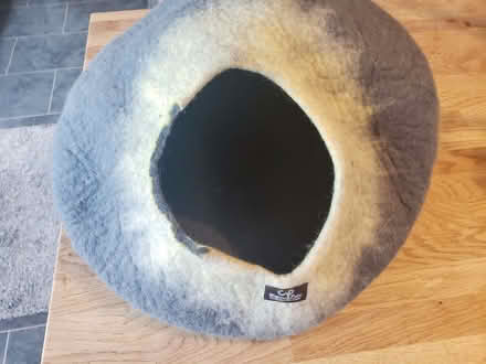 Photo of free Cat Igloo (Great Asby CA16) #2