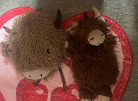 Photo of free Hot water bottle and cushion (Skerton LA1) #1