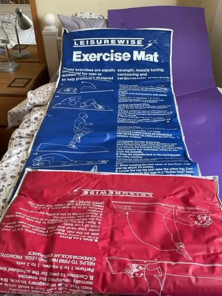 Photo of free Exercise mat and camping mat (West Hill TN34) #1