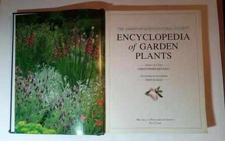 Photo of free Encyclopedia of Garden Plants (W section, Bowie) #1
