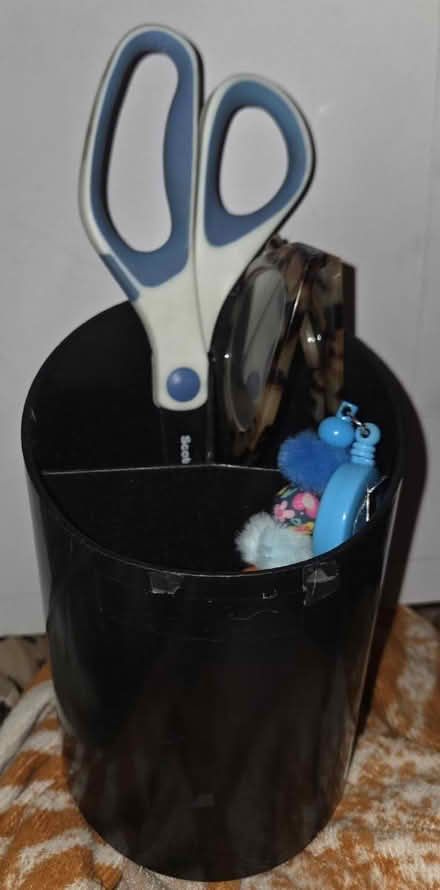 Photo of free Seashells and a pencil jar (Bloomingdale) #2
