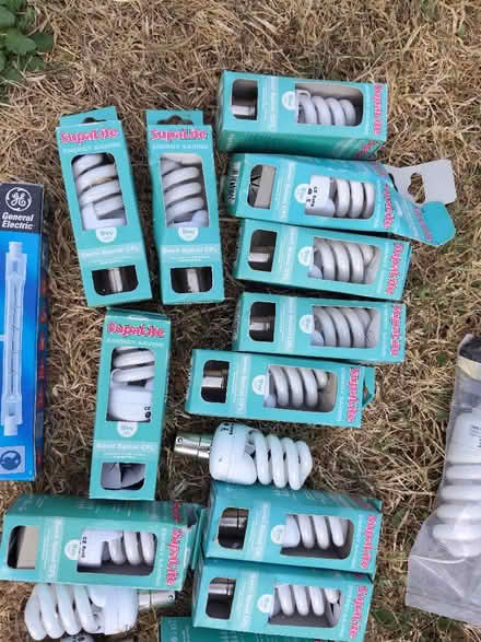 Photo of free Light bulbs small bayonet (Keynsham Memorial Park BS31) #1