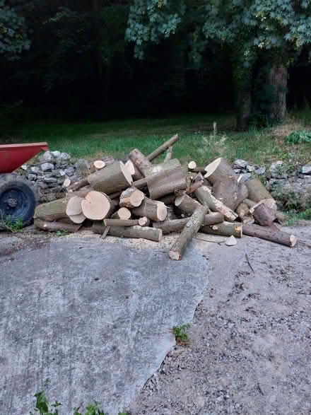 Photo of free Firewood (Carnforth LA5) #1