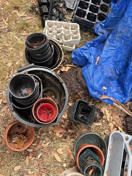 Photo of free Pots and trays (South Croydon CR2) #1