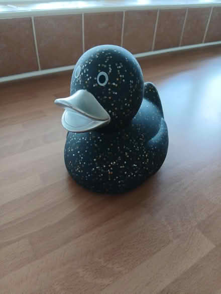 Photo of free Duck (Langney BN23) #1