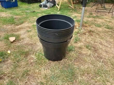 Photo of free large black plant pots - 10 litre. Used once only (Cashes Green GL5) #1