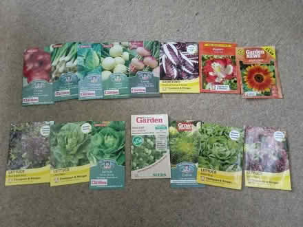 Photo of free Allotment seeds (Horsham, RH13 5) #1