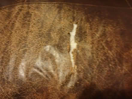 Photo of free Leather sofa (Low Water BA11) #3