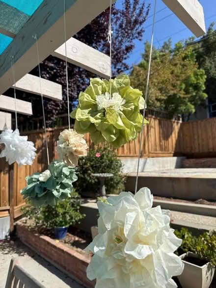 Photo of free Paper flower decorations (Redwood City) #1