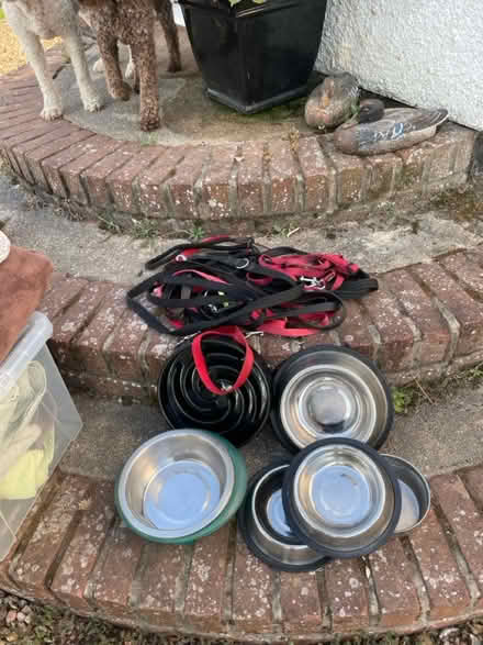 Photo of free Various dog stuff (10 wheatsheaf close CO11) #2