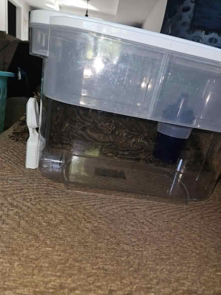Photo of free Water filter (San ramon) #1