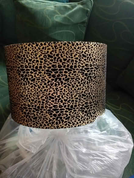 Photo of free Lampshade (Three Bridges RH10) #1