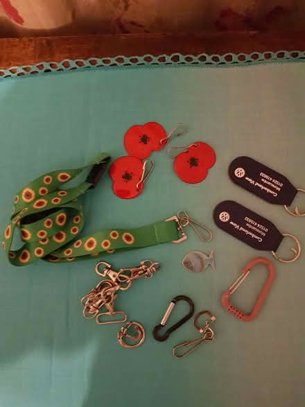 Photo of free Key fobs (Kendal LA9) #1
