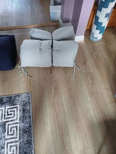 Photo of free Padded Lounge Cushions For Sunbeds (Hollybush NP44) #2
