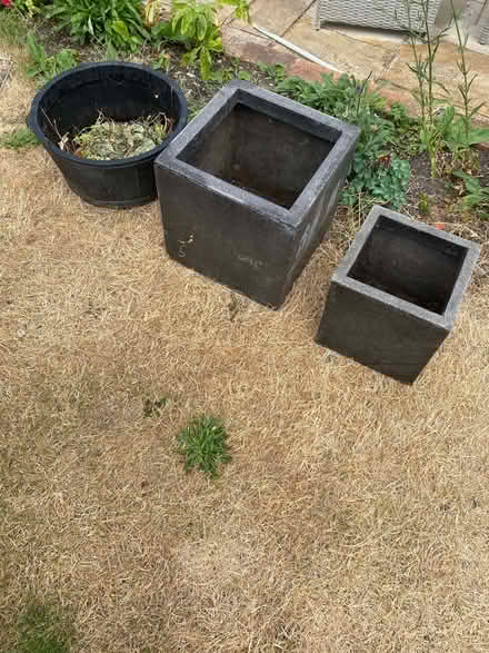 Photo of free Plant pots (SY3) #1