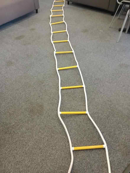 Photo of free Rope ladder (Gosforth) #1