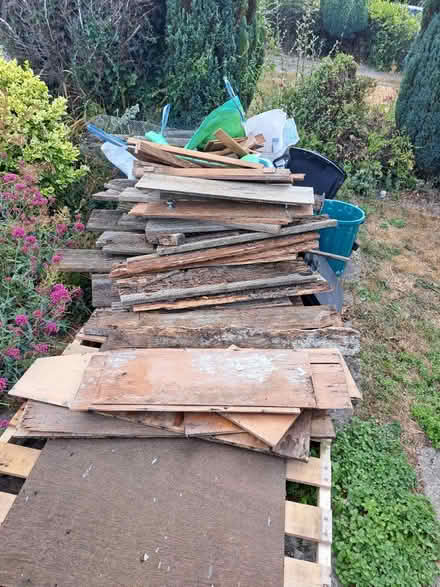 Photo of free wood (Dorchester DT1) #1