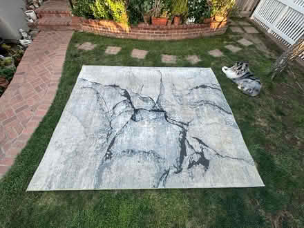 Photo of free Large area rug (Downtown Sunnyvale) #3