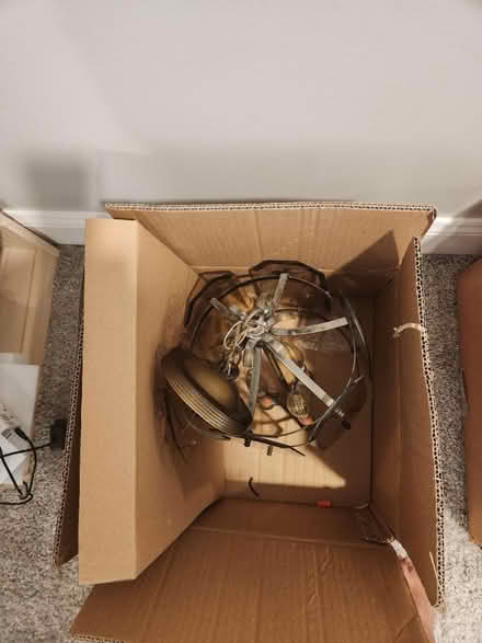 Photo of free Celing lights (Aurora) #2
