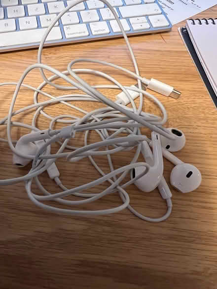 Photo of free 2 pairs wired earphones (Turnford EN8) #1