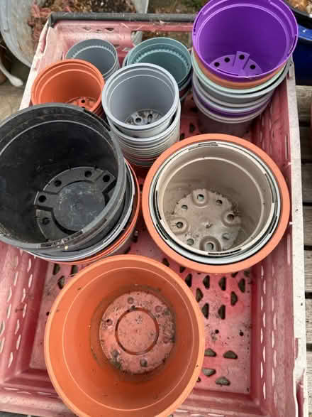 Photo of free Used plant pots, various sizes (Surbiton KT6) #1