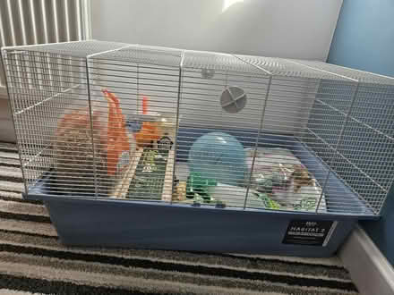 Photo of free Small cage (Gleadless S14) #2