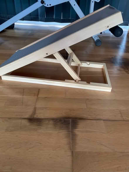 Photo of free Dog ramp (Chessington KT9) #3