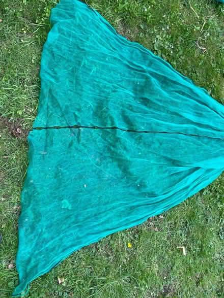 Photo of free Green Garden netting (Crabtree Lane AL5) #2