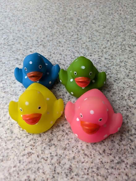 Photo of free Rubber Ducks (Warley CM14) #1