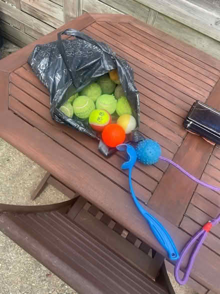 Photo of free Dog’s play balls (Anerley SE20) #1