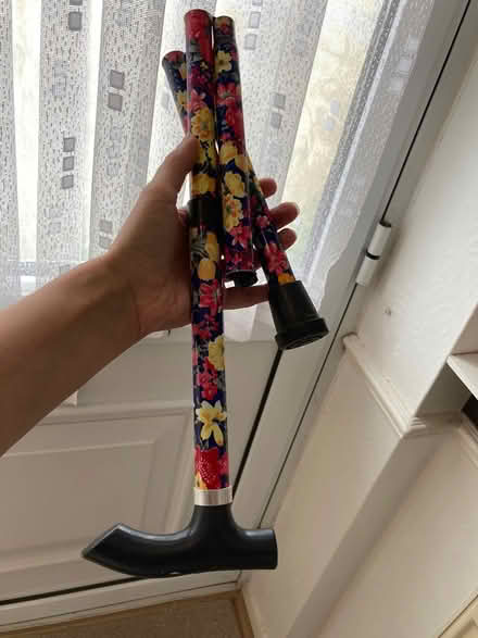 Photo of free Walking stick (Willingdon BN22) #2