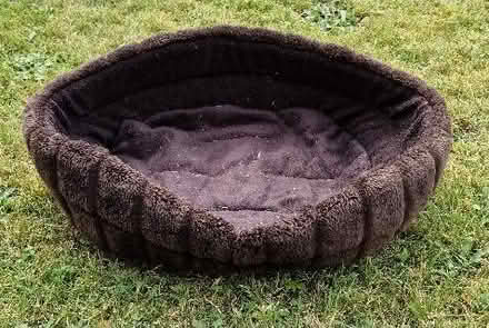 Photo of free Cat or small dog bed (Ballymaconaghy BT6) #1
