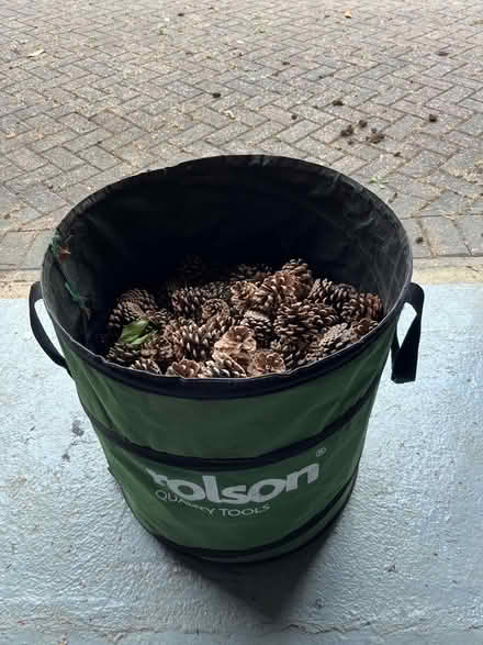 Photo of free Bag of pine cones (Beaconsfield HP9) #1
