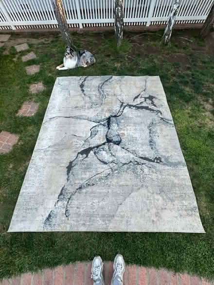 Photo of free Large area rug (Downtown Sunnyvale) #1