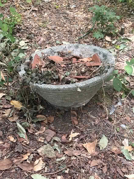Photo of free 2 x pots (Tunbridge wells TN4) #1