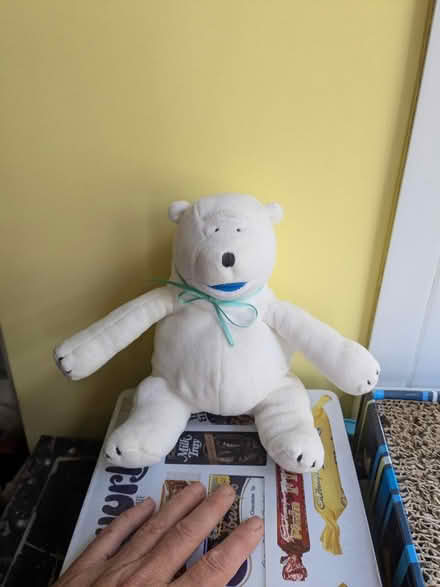 Photo of free Soft toy (Norwich NR3) #1