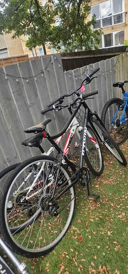 Photo of free Bikes to give away (New cross Lewisham London) #1