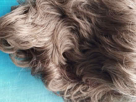 Photo of free Synthetic hair wig (Kendal LA9) #2