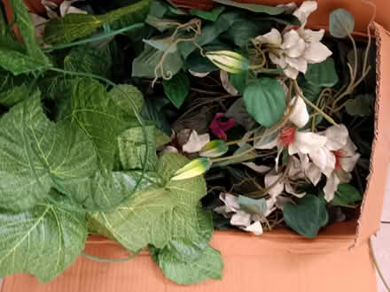 Photo of free plastic flowers decor 2 boxes (Paradise DY2) #4
