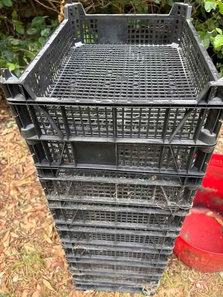 Photo of free Pots and trays (South Croydon CR2) #4