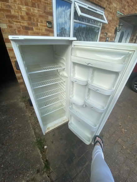 Photo of free Tall fridge only (Watford WD25) #2