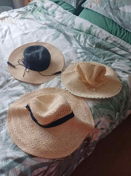 Photo of free 3 ladies straw summer hats (Haylands Way MK41) #1