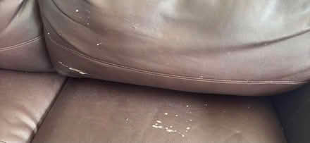 Photo of free Brown Leather sofa bed (Gregson Lane PR5) #2