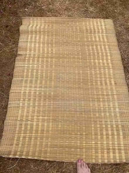 Photo of free Natural fibre mat (Purley on Thames RG31) #1