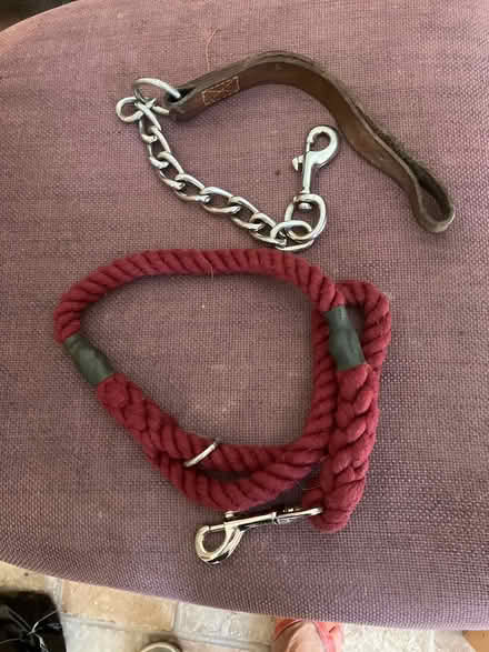 Photo of free Dog leads (Birch, Essex) #1