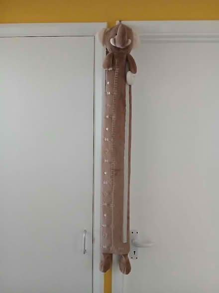 Photo of free Elephant height chart (Langney BN23) #1