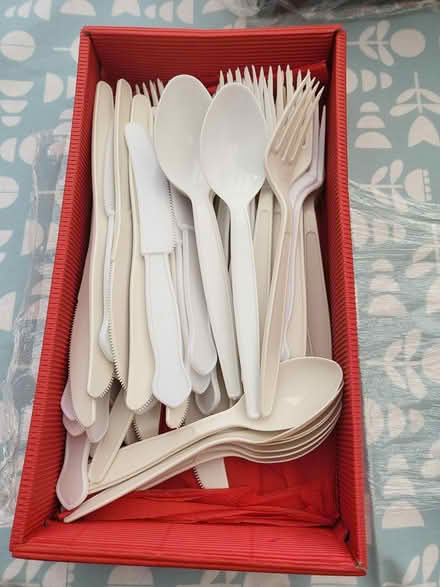 Photo of free Plastic cutlery (Didcot - Ladygrove) #1