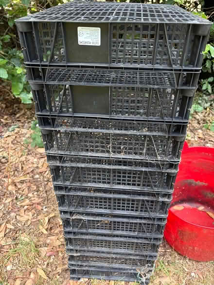 Photo of free Pots and trays (South Croydon CR2) #3