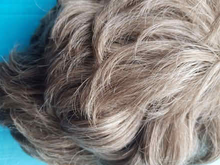 Photo of free Synthetic hair wig (Kendal LA9) #1